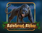 Rainforest Riches